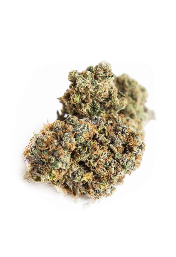 CBD Flower 08 Mango Haze – Fruchtige CBD - Image 1